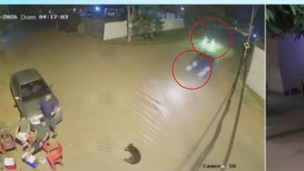 Se presenta segundo conductor en caso de muerte de un abuelo y su perro por imprudencia