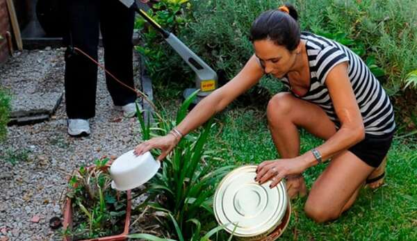 Campaña “Esyryry Ñati’ũ”: Eliminación de criaderos es la única barrera efectiva contra el Dengue, Zika y Chikungunya - La Tribuna