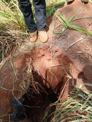 Canindeyú: Policía desactiva otro explosivo tras ataque en Marina Cue - Policiales - ABC Color