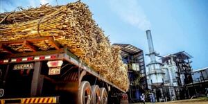 CAÑICULTORES EXIGEN LA CULMINACIÓN DEL NUEVO TREN DE MOLIENDA