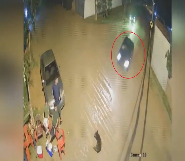 Luque: otro conductor se presenta tras muerte de abuelo y su perro - ADN Digital