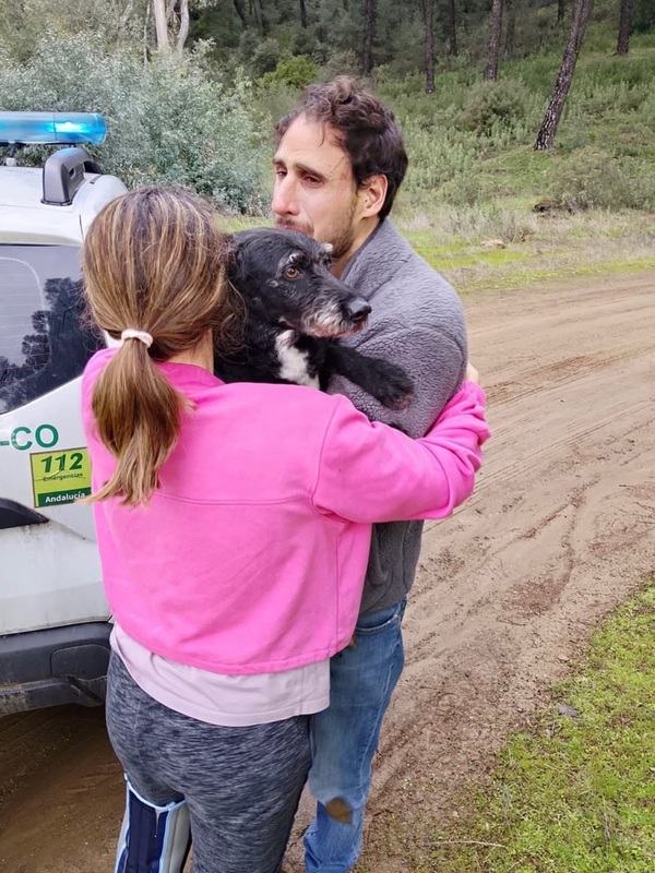 Rescatan a Boro, el perro perdido tras la tragedia ferroviaria en España