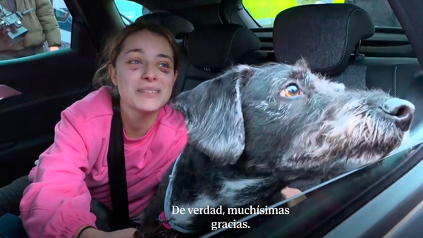 La historia de Boro, el perro que desapareció tras el choque de trenes en España y regresó a su hogar