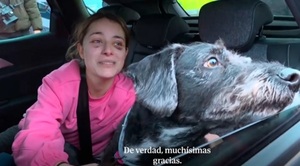 Boro volvió a casa: hallan con vida al perro perdido tras el choque de trenes en España