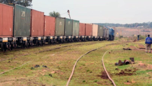 Nuevo documento electrónico para importación y exportación rige desde 2026