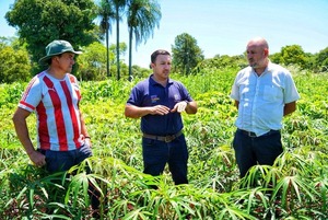 Itapúa impulsa una hoja de ruta para fortalecer el sector productivo