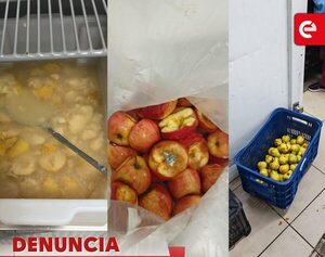 Comida podrida y contratos dudosos de Lakmi S.A. en el IPS - Canal-E