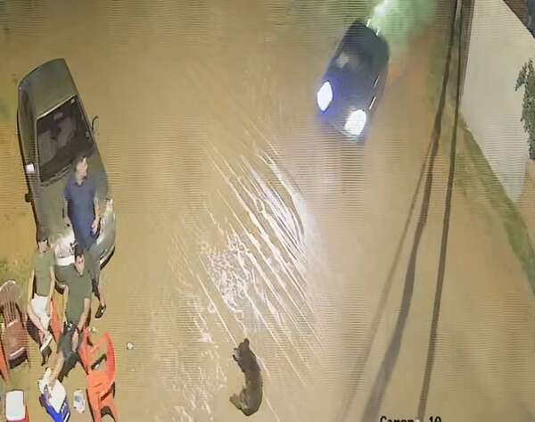 Aparece otro conductor sospechoso del arrollamiento a un abuelo y su perro - Policiales - ABC Color