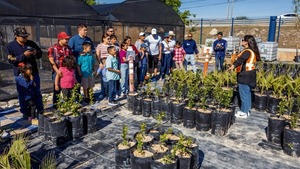 Valor público: Impacto social y desarrollo comunitario como estrategia de negocio