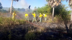 Popular / Incendio forestal en zona Luque - Sanber ya fue controlado