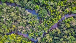 Invitan a participar del Paraguay Carbon Forum 2026, encuentro internacional sobre mercados de carbono - ADN Digital