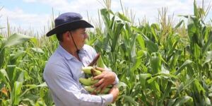 INDERT fortalece alianza público-privada para intensificar titulación de tierras y producción en colonias rurales