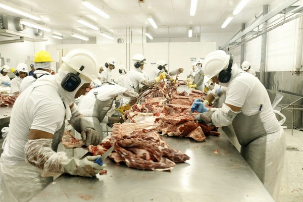 Consultora Agriffato proyecta caída del 4% en las exportaciones de carne bovina de Brasil
