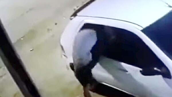 Juez libera a presunto tortolero, pese a las pruebas