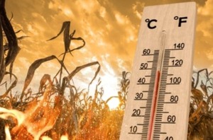 Ola de calor: Se esperan máximas de hasta 40°C para este fin de semana