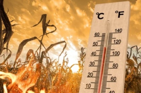 Ola de calor: Se esperan máximas de hasta 40°C para este fin de semana