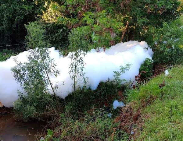 Persisten vertidos de detergente en arroyos de Ciudad del Este, pese a intervención municipal - ABC en el Este - ABC Color
