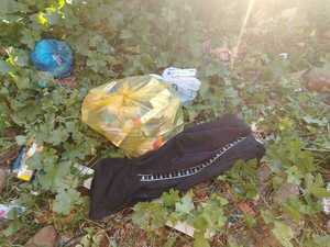 GPS en fármacos robados permite allanamiento y detención de dos personas en CDE - ADN Digital