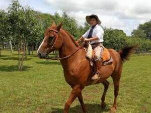 Popular / ¡Todo listo para la Fiesta de la Tradición Misionera!