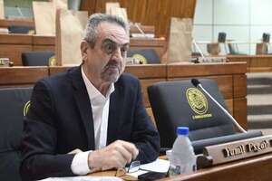 Esgaib menciona a del Puerto como posible sucesor de Rocío Abed - Política - ABC Color