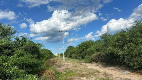 ANDE puso en servicio nueva línea de media tensión que fortalece suministro eléctrico en el Chaco
