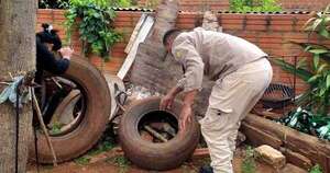 Diario HOY | Reportan aumento de casos sospechosos de dengue en todo el país