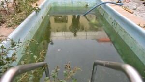 Registran más de 600 casos sospechosos de dengue en siete días