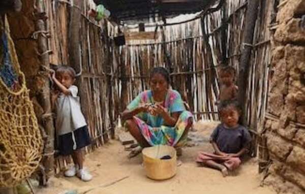 “Ella murió de hambre”, dice perito indígena de la CSJ sobre el caso de la niña indígena de 3 años - Nacionales - ABC Color