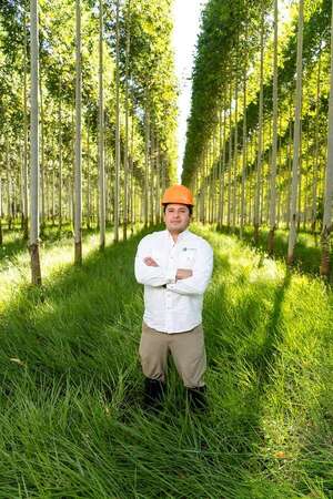 Plansur: la historia que va de 50 a 4.500 hectáreas forestales por año - ABC Rural - ABC Color