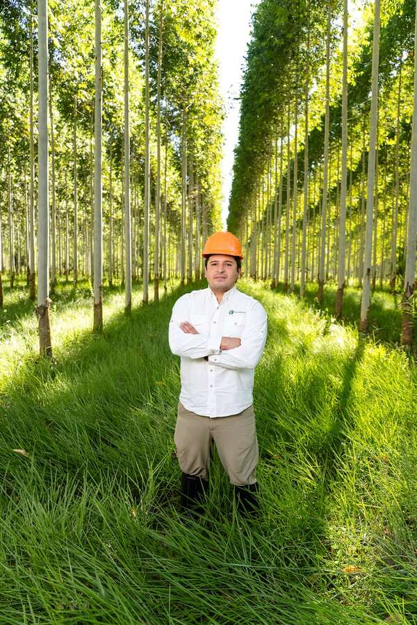 Plansur: la historia que va de 50 a 4.500 hectáreas forestales por año - ABC Rural - ABC Color