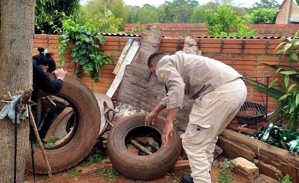Reportan aumento de casos sospechosos de dengue en todo el país