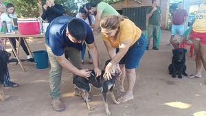 Exitosa jornada de salud animal en Arroyo Porã