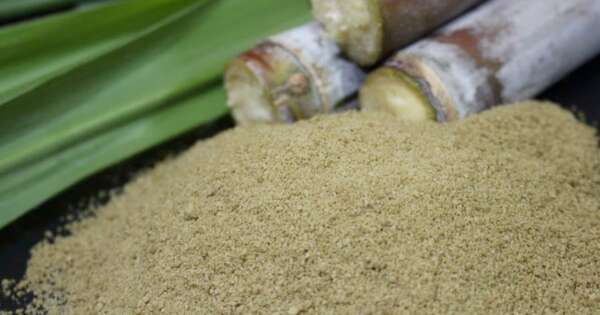 La Nación / Acuerdo Mercosur-UE genera expectativas en el sector agropecuario, pero con cautela