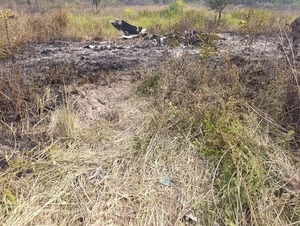Detectan aeronave boliviana siniestrada e incinerada en Concepción