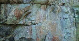 La Nación / “El hallazgo reviste una importancia excepcional”