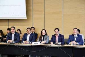 Diputados sumaron “millas” con el dinero del presupuesto público durante el 2025 - Política - ABC Color