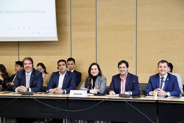 Diputados sumaron “millas” con el dinero del presupuesto público durante el 2025 - Política - ABC Color