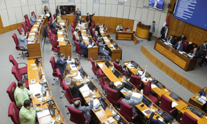 Basilio Núñez plantea retomar sesiones del Senado en febrero