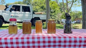 Un rincón de dulzura en pleno corazón del Bosque Atlántico