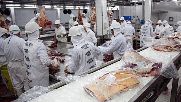 Paraguay negocia salvaguardas para proteger los envíos de carne a la UE