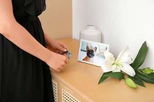 Duelo invisibilizado: por qué la pérdida de un animal de compañía sigue sin tomarse en serio - Mascotas - ABC Color