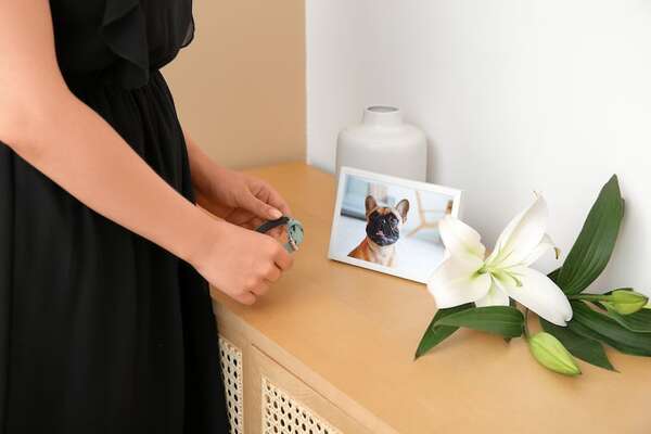 Duelo invisibilizado: por qué la pérdida de un animal de compañía sigue sin tomarse en serio - Mascotas - ABC Color