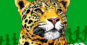 Llega el Jaguar Trail, una corrida por la conservación