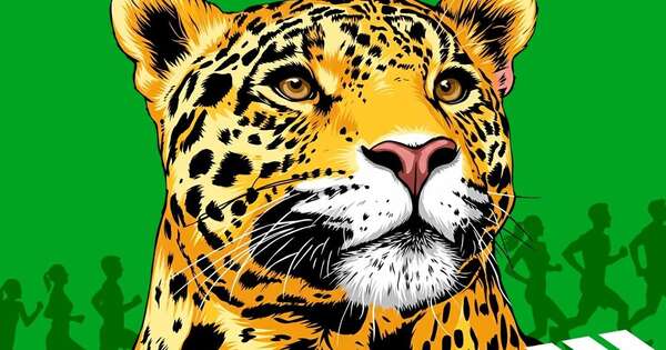 Llega el Jaguar Trail, una corrida por la conservación