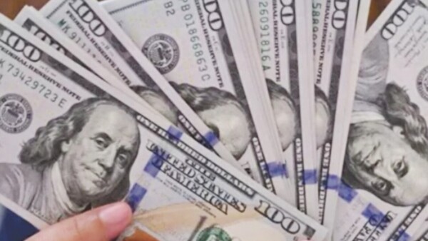 Apenas, empresa agropecuaria zafó de la mayor estafa digital del país