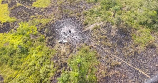 La Nación / Hallan dos campamentos irregulares donde capotó avioneta boliviana en Concepción