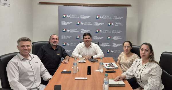 La Nación / Industria avícola dará salto histórico con planta incubadora de gran escala