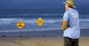 La Nación / Australia: muere niño de 12 años por mordida de tiburón