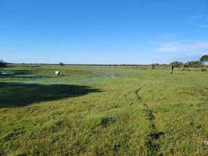 La pérdida de la biodiversidad es el segundo riesgo global más apremiante en la próxima década