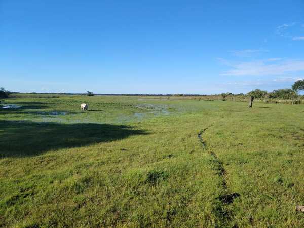 La pérdida de la biodiversidad es el segundo riesgo global más apremiante en la próxima década